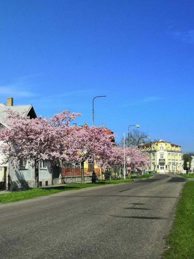 Hotel Modra Hvezda Sadská Kültér fotó